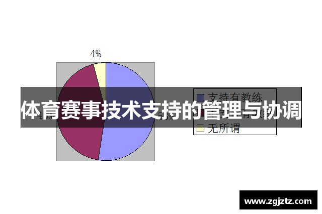 体育赛事技术支持的管理与协调